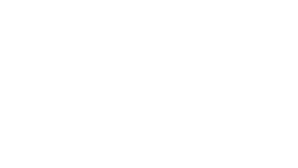 Le follie di Noelie